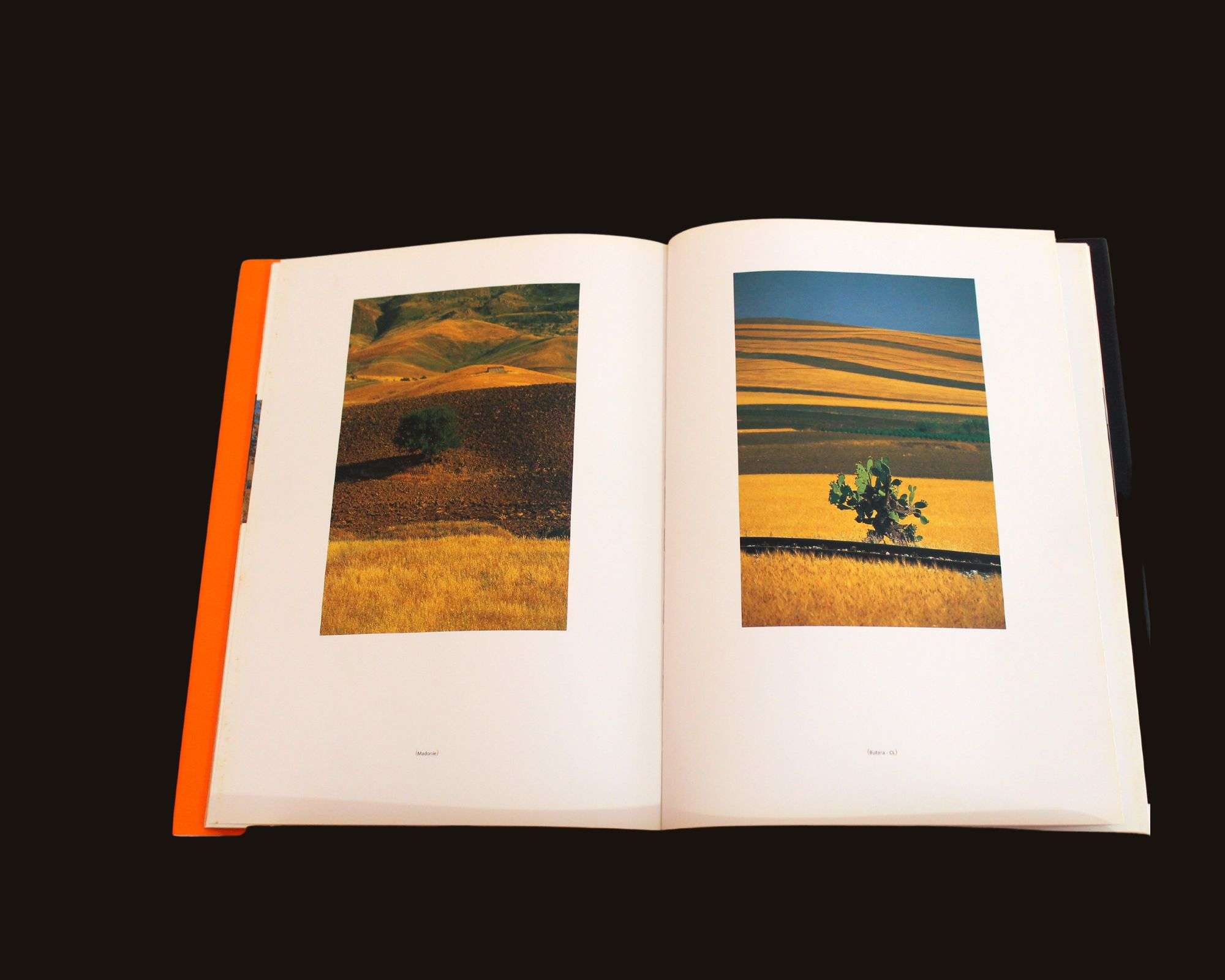 libro solarium