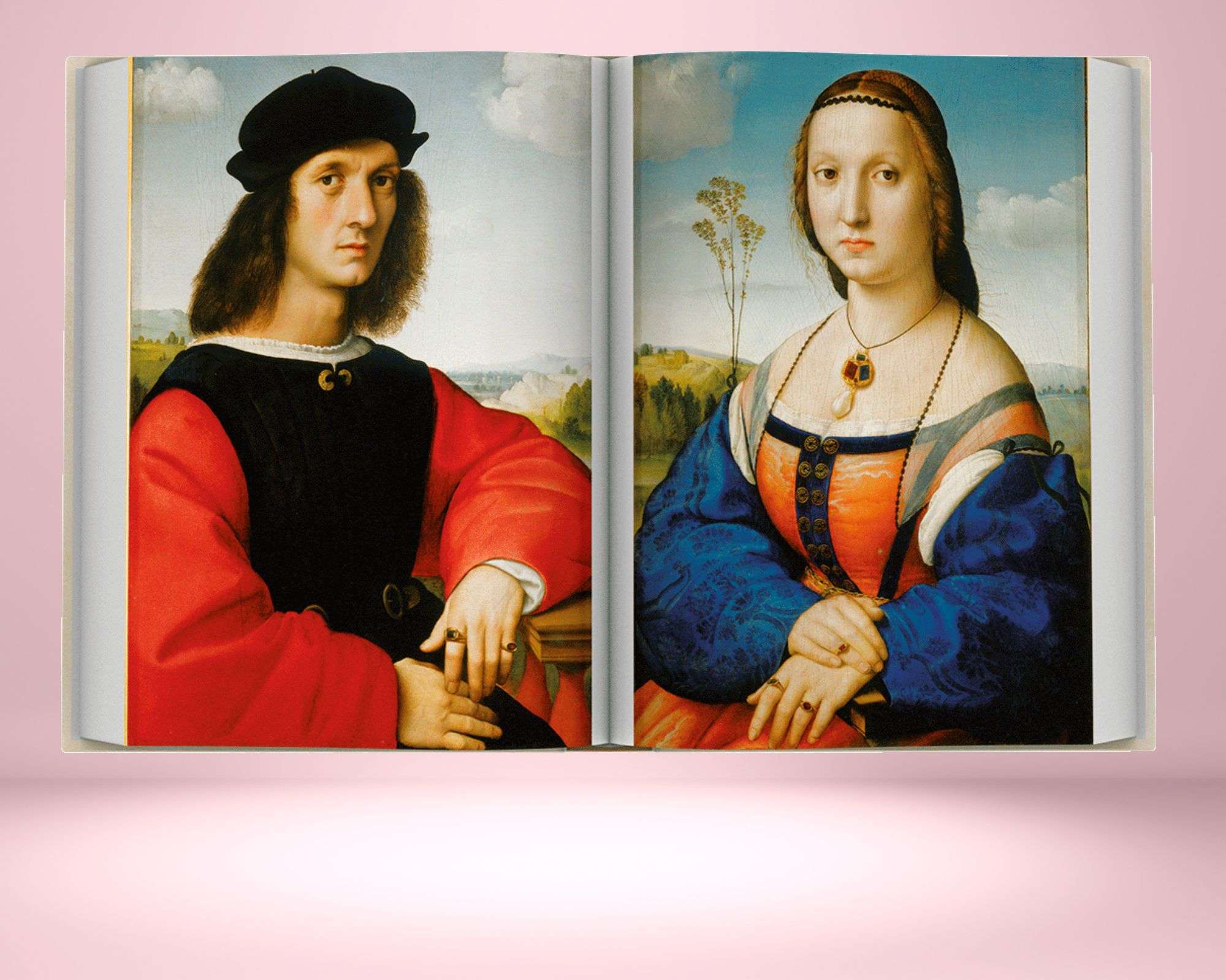 Raffaello Universale – dettaglio immagine 2