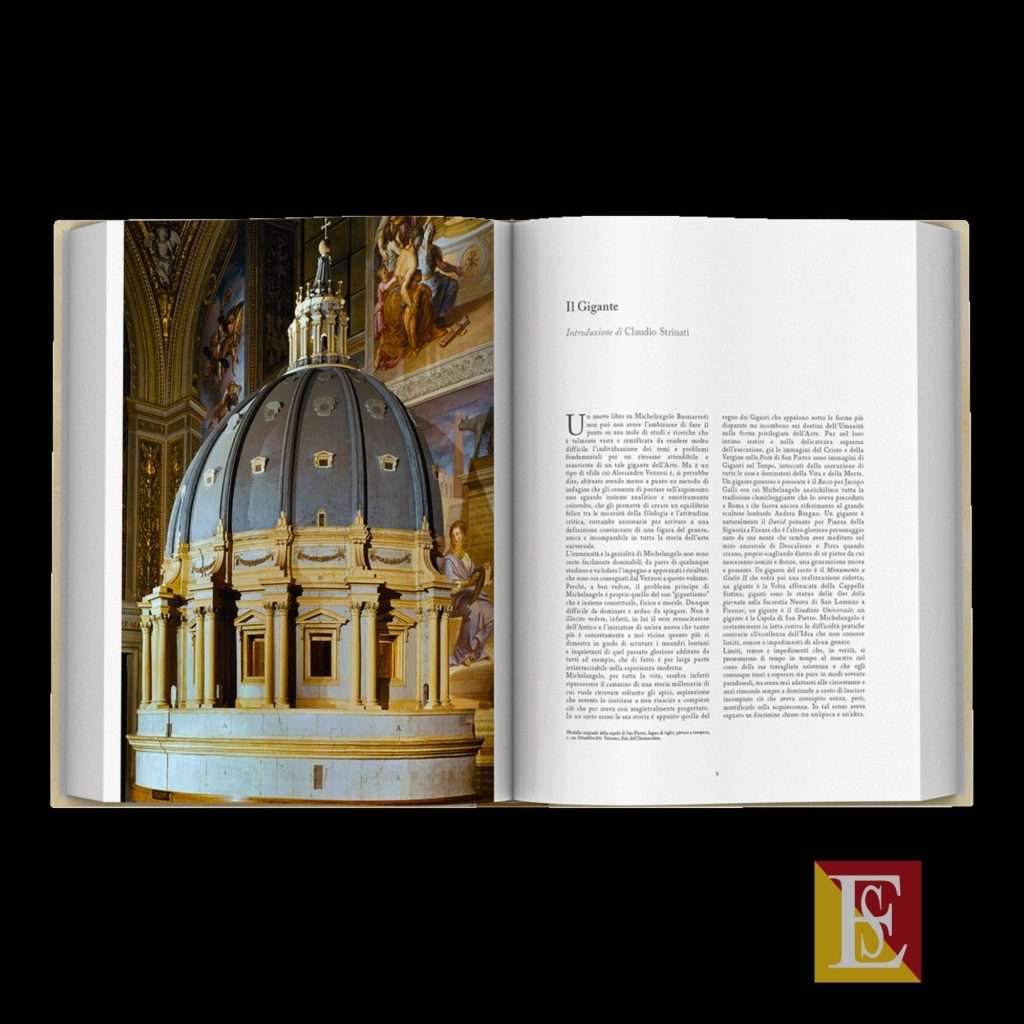 michelangelo libro pregio