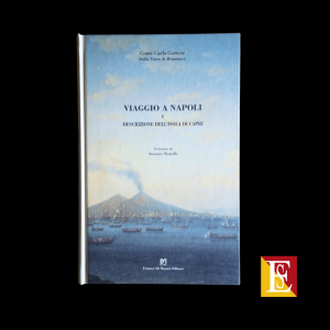 viaggio a napoli