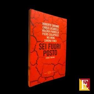 sei fuori posto libro