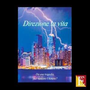 Direzione la vita libro