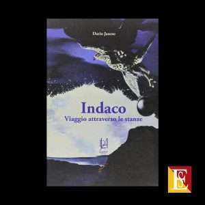 Indaco Viaggio attraverso le stanze di Dario Janese romanzo fantastico